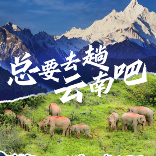 總要去趟云南吧